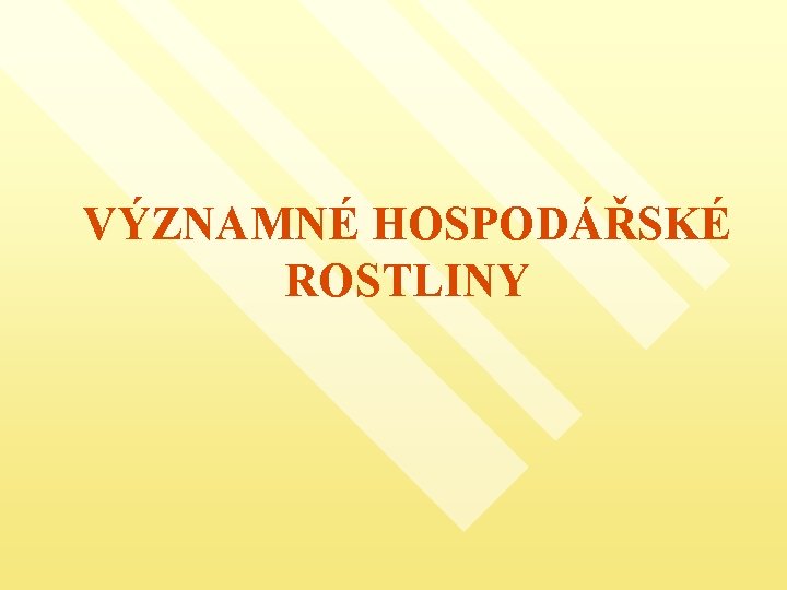 VÝZNAMNÉ HOSPODÁŘSKÉ ROSTLINY 