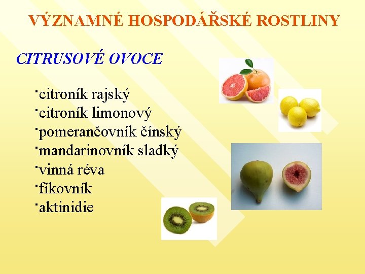 VÝZNAMNÉ HOSPODÁŘSKÉ ROSTLINY CITRUSOVÉ OVOCE ·citroník rajský ·citroník limonový ·pomerančovník čínský ·mandarinovník sladký ·vinná