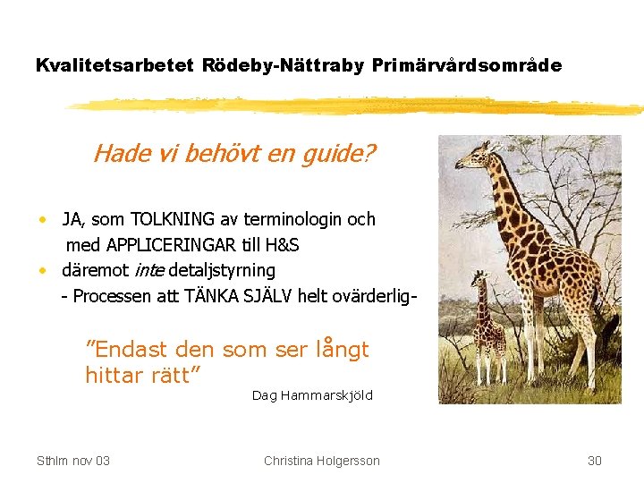 Kvalitetsarbetet Rödeby-Nättraby Primärvårdsområde Hade vi behövt en guide? • JA, som TOLKNING av terminologin