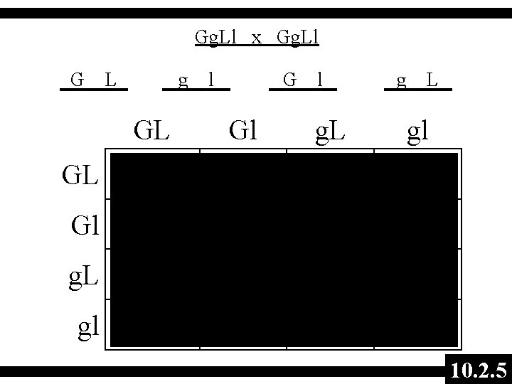 Gg. Ll x Gg. Ll G L g l GL G Gl l g.