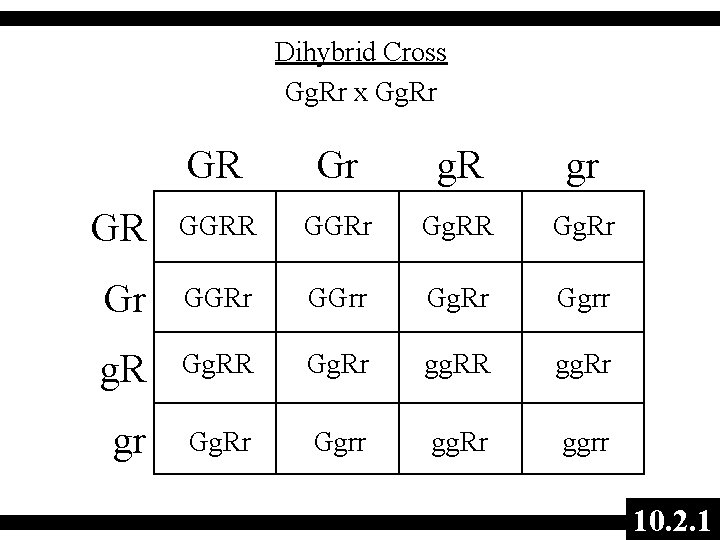 Dihybrid Cross Gg. Rr x Gg. Rr GR Gr g. R gr GR GGRr