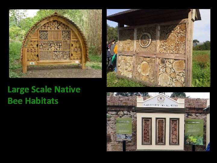 Large Scale Native Bee Habitats 