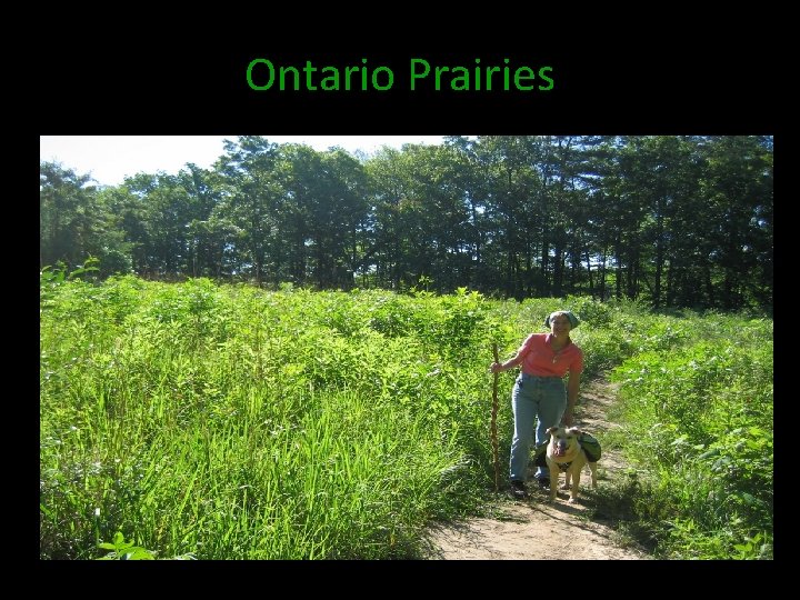 Ontario Prairies 