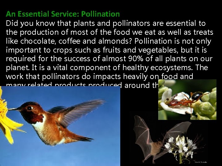 An Essential Service: Pollination Did you know that plants and pollinators are essential to
