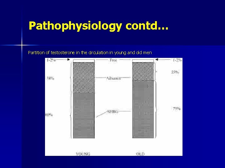 Pathophysiology contd… Partition of testosterone in the circulation in young and old men 