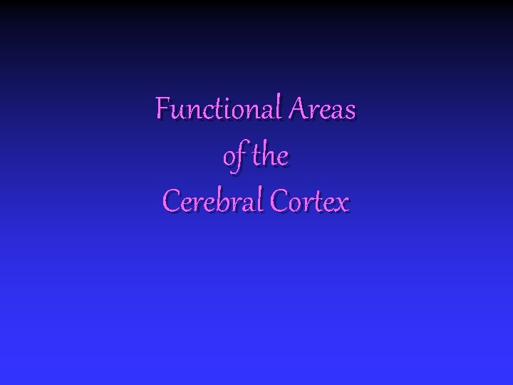 Functional Areas of the Cerebral Cortex 