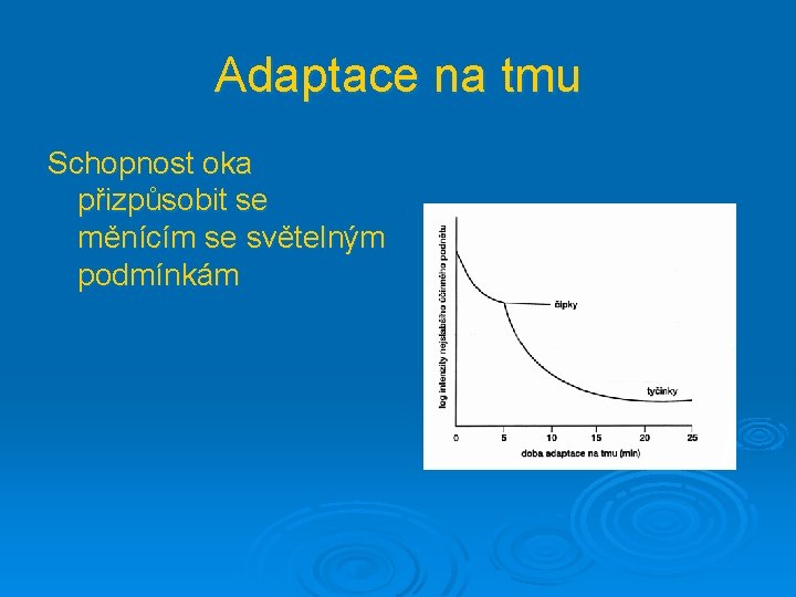 Adaptace na tmu Schopnost oka přizpůsobit se měnícím se světelným podmínkám 