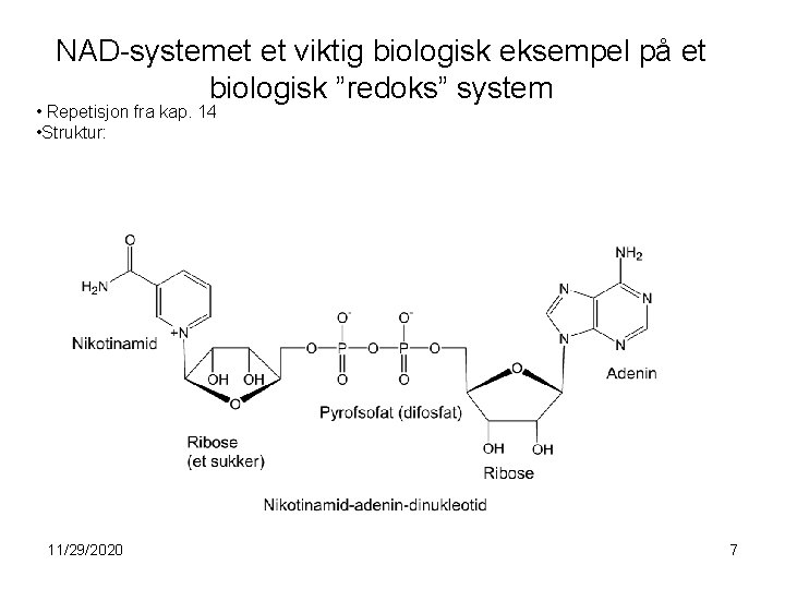 NAD-systemet et viktig biologisk eksempel på et biologisk ”redoks” system • Repetisjon fra kap.