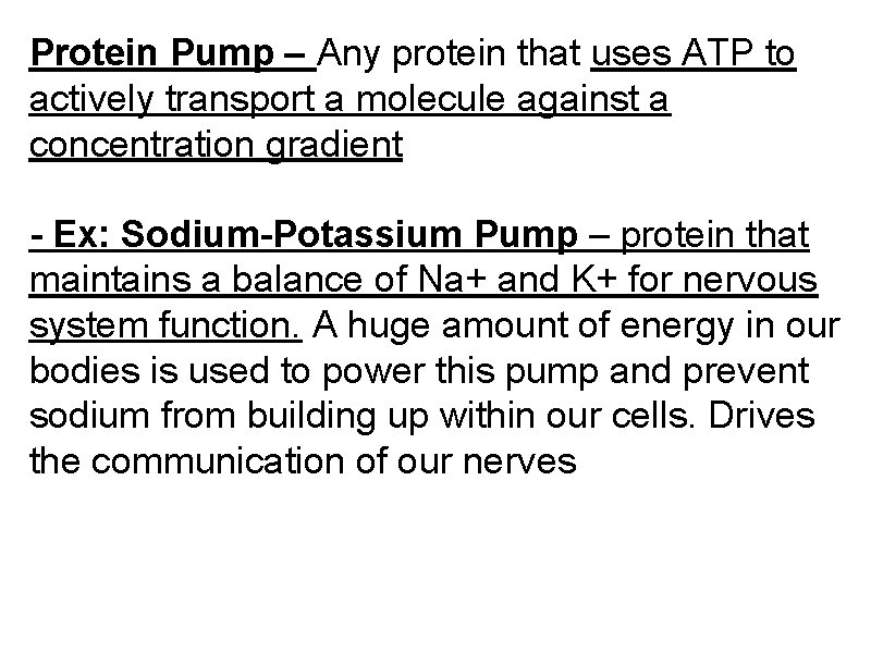 Protein Pump – Any protein that uses ATP to actively transport a molecule against