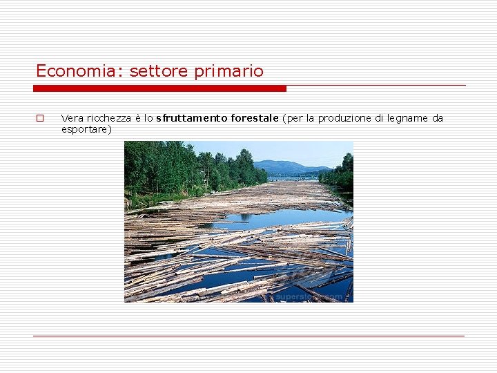 Economia: settore primario o Vera ricchezza è lo sfruttamento forestale (per la produzione di