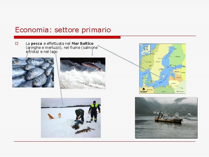 Economia: settore primario o La pesca e effettuata nel Mar Baltico (aringhe e merluzzi),