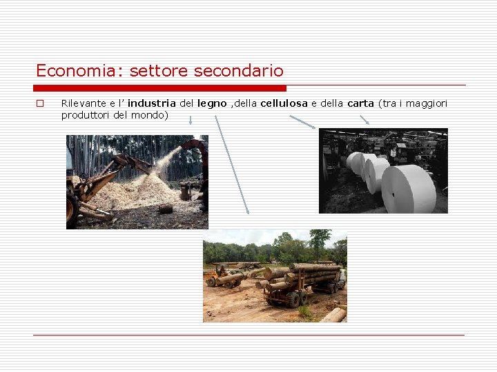 Economia: settore secondario o Rilevante e l’ industria del legno , della cellulosa e