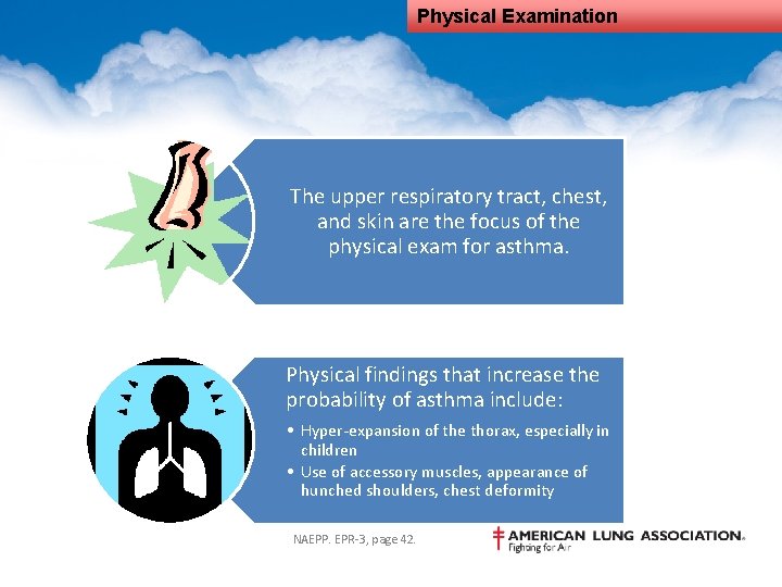 Physical Examination The upper respiratory tract, chest, and skin are the focus of the