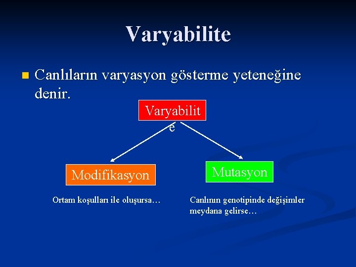 Varyabilite n Canlıların varyasyon gösterme yeteneğine denir. Varyabilit e Modifikasyon Ortam koşulları ile oluşursa…