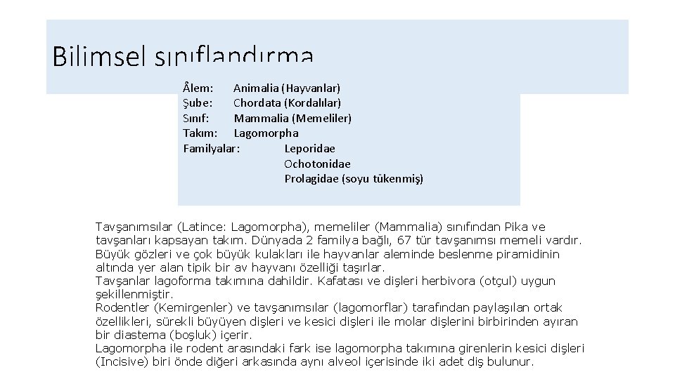 Bilimsel sınıflandırma lem: Animalia (Hayvanlar) Şube: Chordata (Kordalılar) Sınıf: Mammalia (Memeliler) Takım: Lagomorpha Familyalar: