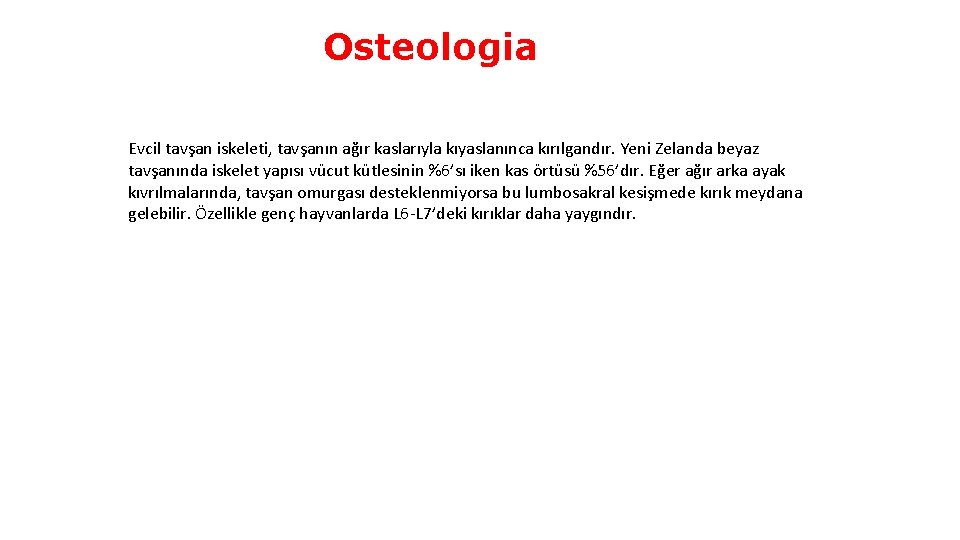 Osteologia Evcil tavşan iskeleti, tavşanın ağır kaslarıyla kıyaslanınca kırılgandır. Yeni Zelanda beyaz tavşanında iskelet