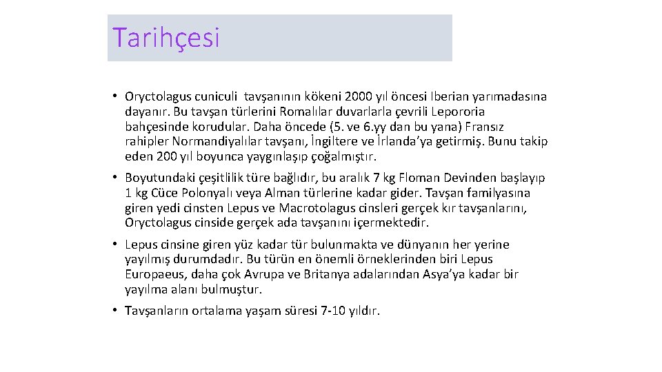 Tarihçesi • Oryctolagus cuniculi tavşanının kökeni 2000 yıl öncesi Iberian yarımadasına dayanır. Bu tavşan