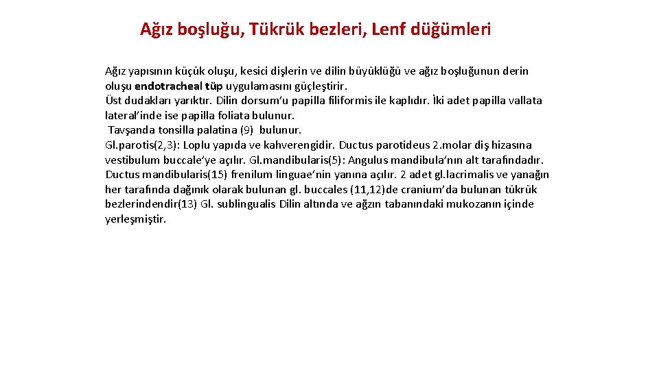 Ağız boşluğu, Tükrük bezleri, Lenf düğümleri Ağız yapısının küçük oluşu, kesici dişlerin ve dilin