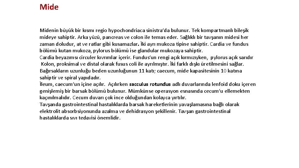 Midenin büyük bir kısmı regio hypochondriaca sinistra’da bulunur. Tek kompartmanlı bileşik mideye sahiptir. Arka