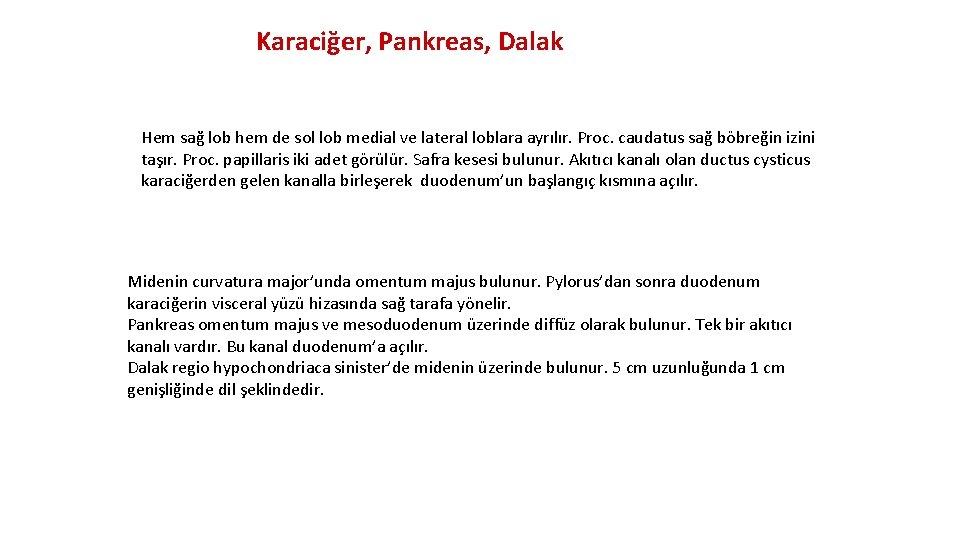 Karaciğer, Pankreas, Dalak Hem sağ lob hem de sol lob medial ve lateral loblara