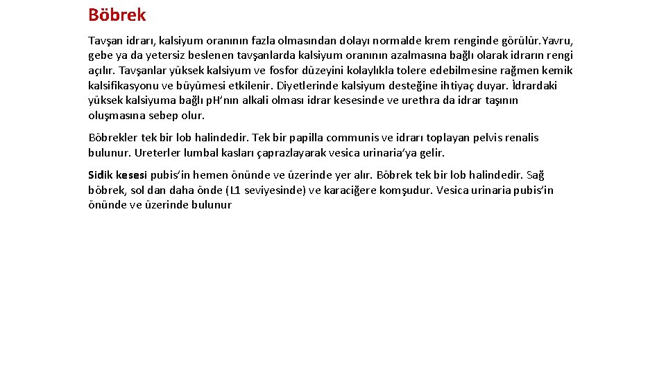 Böbrek Tavşan idrarı, kalsiyum oranının fazla olmasından dolayı normalde krem renginde görülür. Yavru, gebe