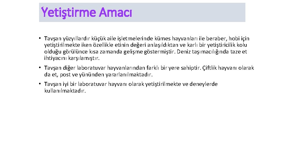 Yetiştirme Amacı • Tavşan yüzyıllardır küçük aile işletmelerinde kümes hayvanları ile beraber, hobi için