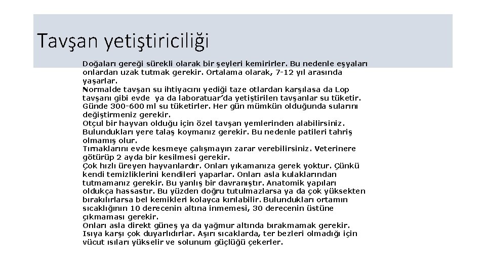 Tavşan yetiştiriciliği Doğaları gereği sürekli olarak bir şeyleri kemirirler. Bu nedenle eşyaları onlardan uzak