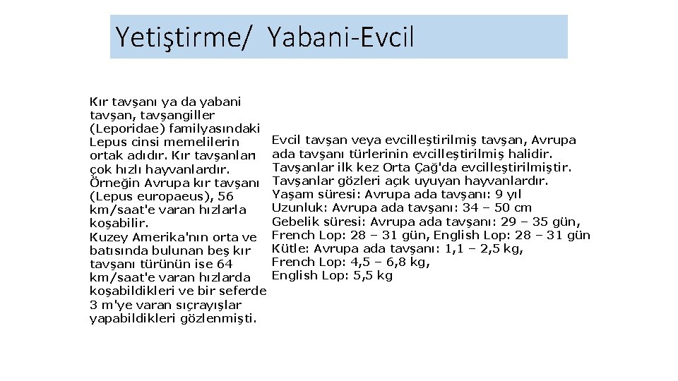 Yetiştirme/ Yabani-Evcil Kır tavşanı ya da yabani tavşan, tavşangiller (Leporidae) familyasındaki Lepus cinsi memelilerin