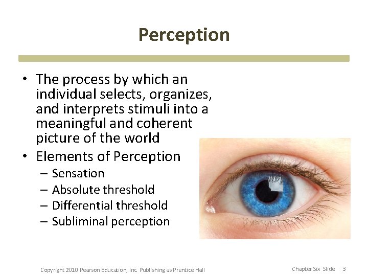 Perception • The process by which an individual selects, organizes, and interprets stimuli into