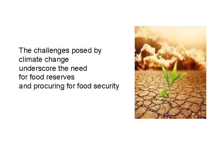 The challenges posed by climate change underscore the need for food reserves and procuring