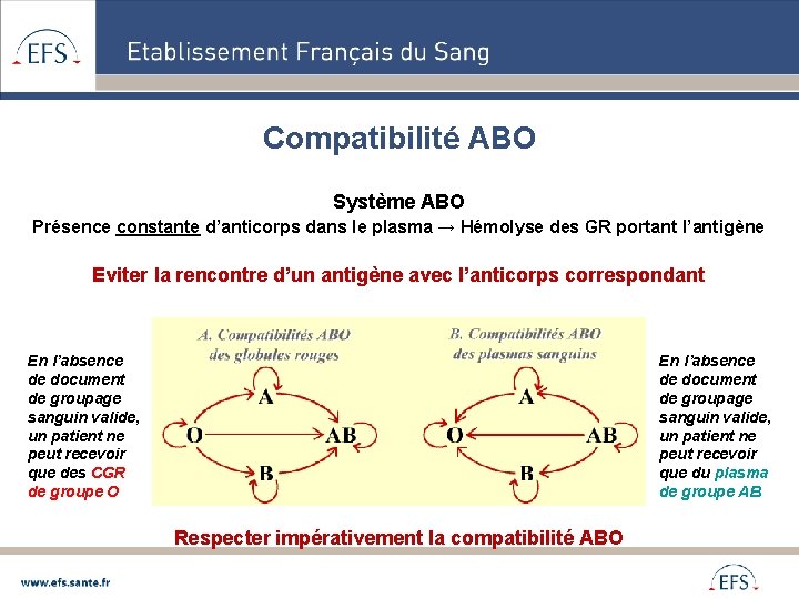 Compatibilité ABO Système ABO Présence constante d’anticorps dans le plasma → Hémolyse des GR