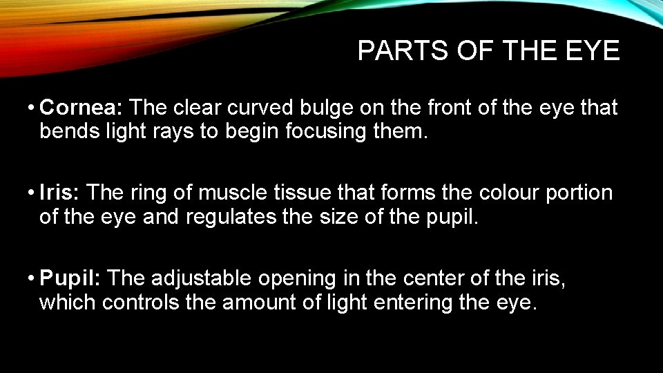 PARTS OF THE EYE • Cornea: The clear curved bulge on the front of