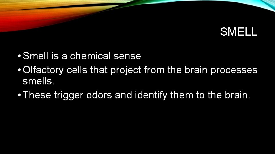 SMELL • Smell is a chemical sense • Olfactory cells that project from the