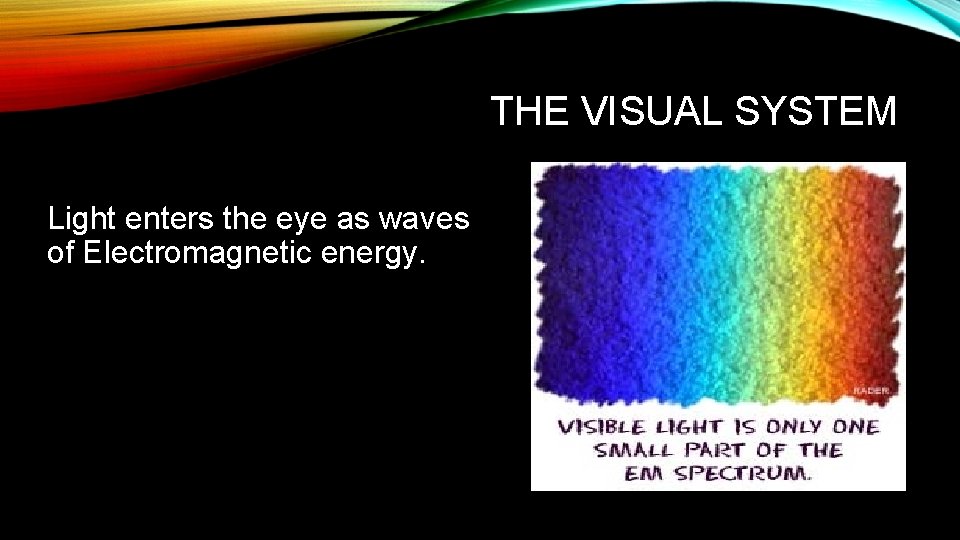 THE VISUAL SYSTEM Light enters the eye as waves of Electromagnetic energy. 