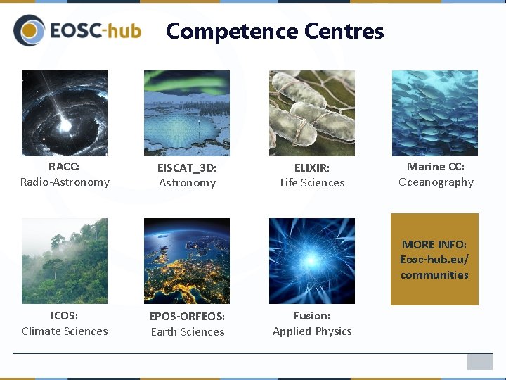 Competence Centres RACC: Radio-Astronomy EISCAT_3 D: Astronomy ELIXIR: Life Sciences Marine CC: Oceanography MORE