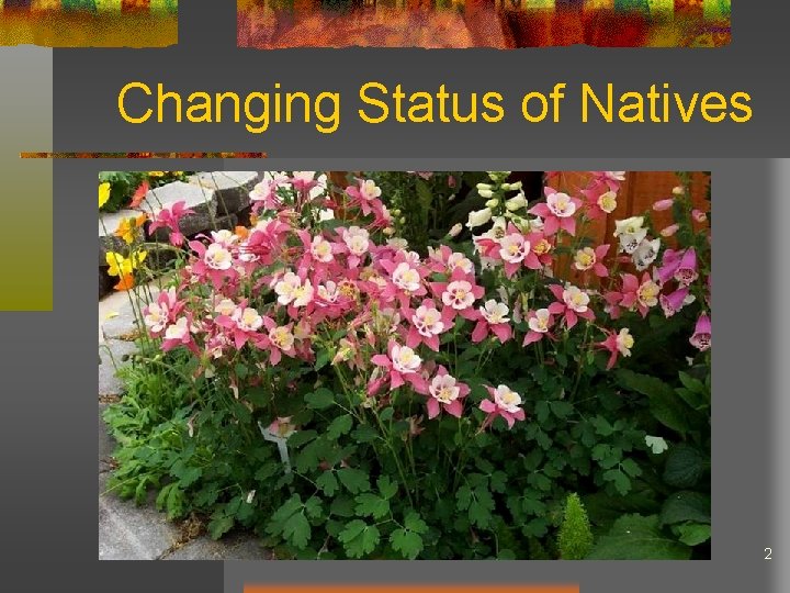 Changing Status of Natives 2 