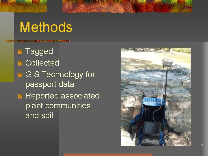 Methods Tagged Collected GIS Technology for passport data Reported associated plant communities and soil