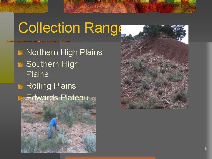 Collection Range Northern High Plains Southern High Plains Rolling Plains Edwards Plateau 8 