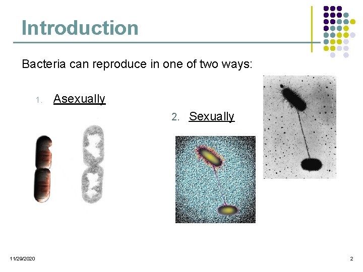Introduction Bacteria can reproduce in one of two ways: 1. Asexually 2. 11/29/2020 Sexually Introduction Bacteria can reproduce in one of two ways: 1. Asexually 2. 11/29/2020 Sexually