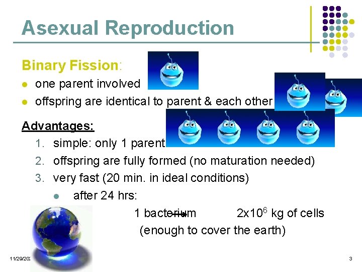 Asexual Reproduction Binary Fission: l l one parent involved offspring are identical to parent Asexual Reproduction Binary Fission: l l one parent involved offspring are identical to parent