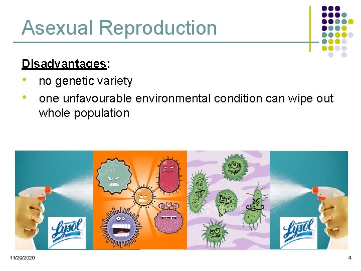 Asexual Reproduction Disadvantages: • no genetic variety • one unfavourable environmental condition can wipe Asexual Reproduction Disadvantages: • no genetic variety • one unfavourable environmental condition can wipe
