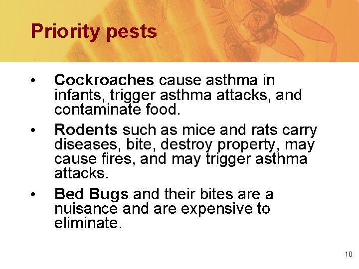 Priority pests • • • Cockroaches cause asthma in infants, trigger asthma attacks, and