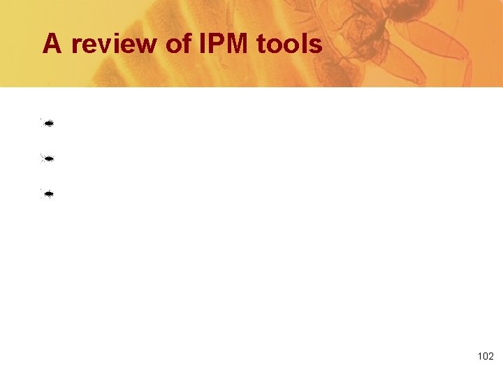 A review of IPM tools Sanitation Exclusion Pesticides: Bait Insecticidal dusts IGRs 102 
