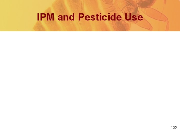 IPM and Pesticide Use 105 