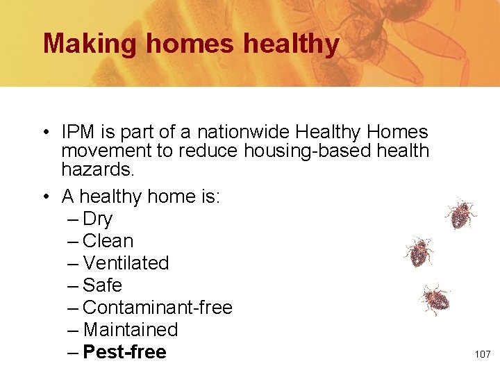 Making homes healthy • IPM is part of a nationwide Healthy Homes movement to