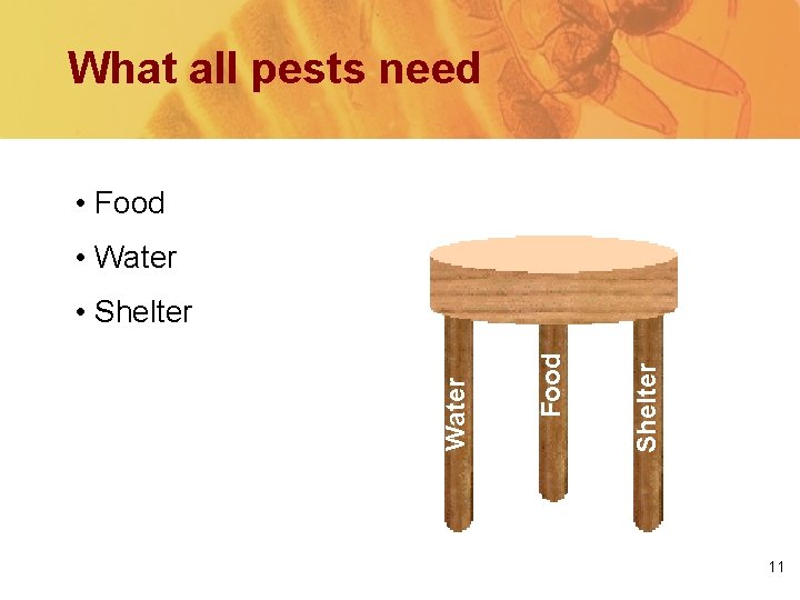 What all pests need • Food • Water Shelter Food Water • Shelter 11