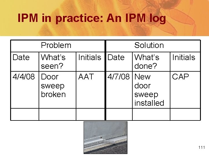 IPM in practice: An IPM log Problem Solution Date What’s Initials seen? done? 4/4/08
