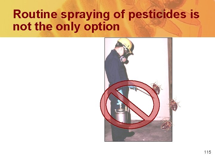 Routine spraying of pesticides is not the only option We’ve learned a better way.