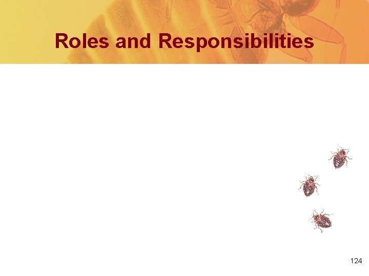 Roles and Responsibilities 124 