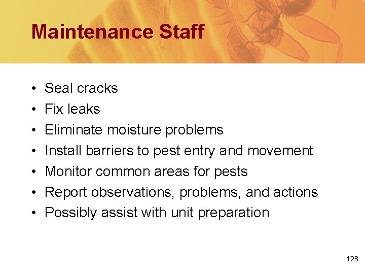 Maintenance Staff • • Seal cracks Fix leaks Eliminate moisture problems Install barriers to